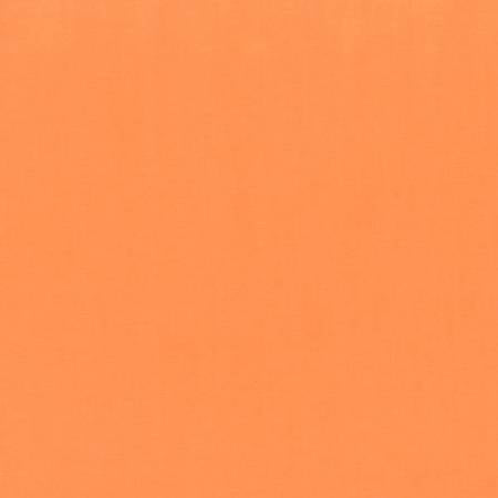Bronze Painters Palette Solids by Paintbrush
