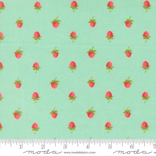 Aqua -  Bloomsberry by Camille Roskelley for Moda Fabrics