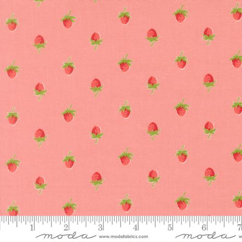 Blush -  Bloomsberry by Camille Roskelley for Moda Fabrics