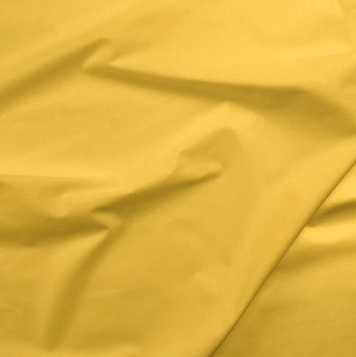 Bright Yellow Painters Palette Solids by Paintbrush