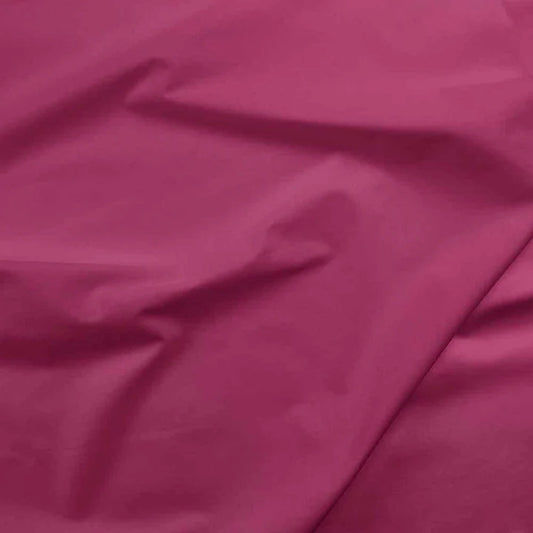 Fuschia Painters Palette for Paintbrush Studio
