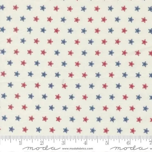 Cloud American Gatherings III 108" Wide Back - Primitive Gatherings for Moda Fabrics