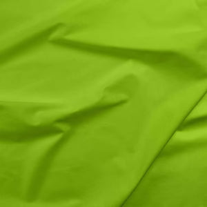 Apple Green Painters Palette - Paintbrush Studio