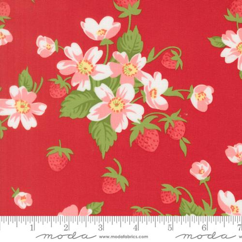 Red -  Bloomsberry by Camille Roskelley for Moda Fabrics