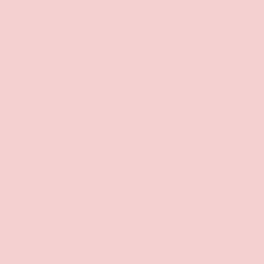 Carnation Painters Palette Solids by Paintbrush