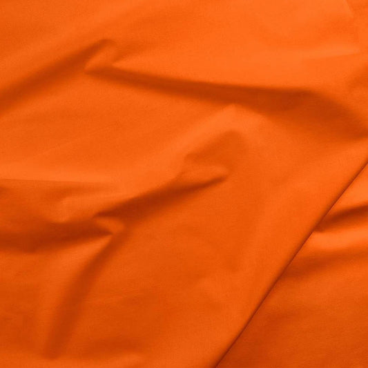 Carrot Painters Palette Solids by Paintbrush
