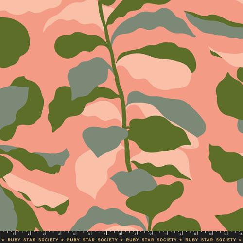Light Melon - Calathea - 108"- Ruby Star Society #1